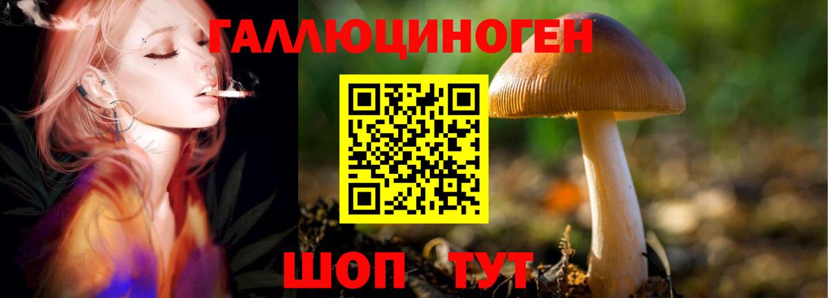 Псилоцибиновые грибы ЛСД  наркотики  Вход с VPN  Железногорск  Галлюциногенные грибы мухоморы 